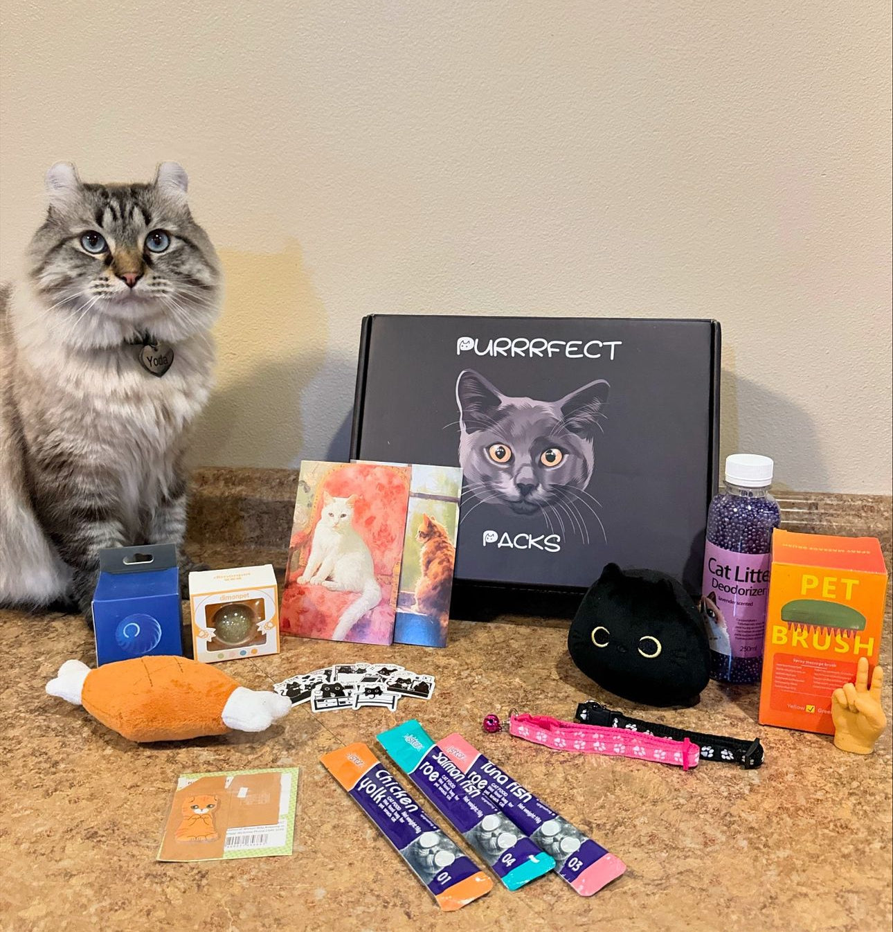 Monthly Purrrfect Subscription