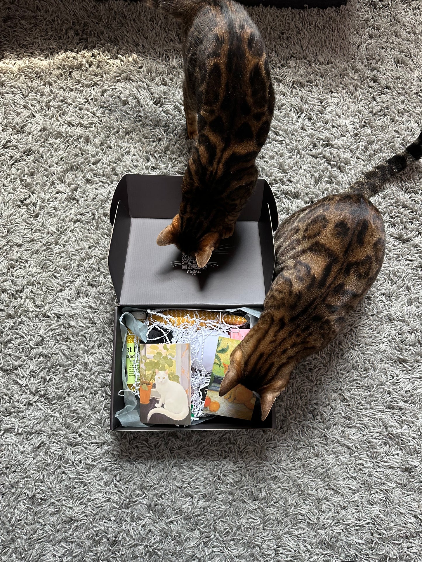 Monthly Purrrfect Subscription