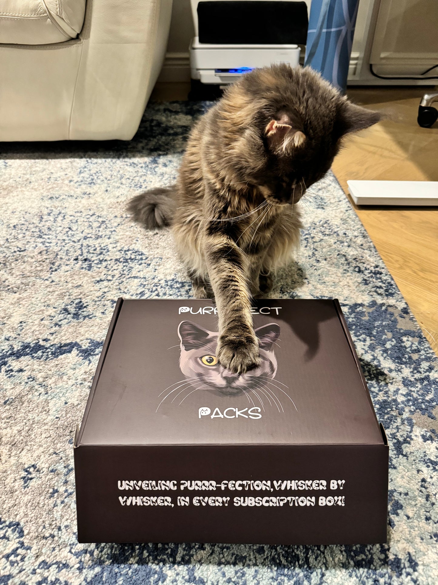 Monthly Purrrfect Subscription