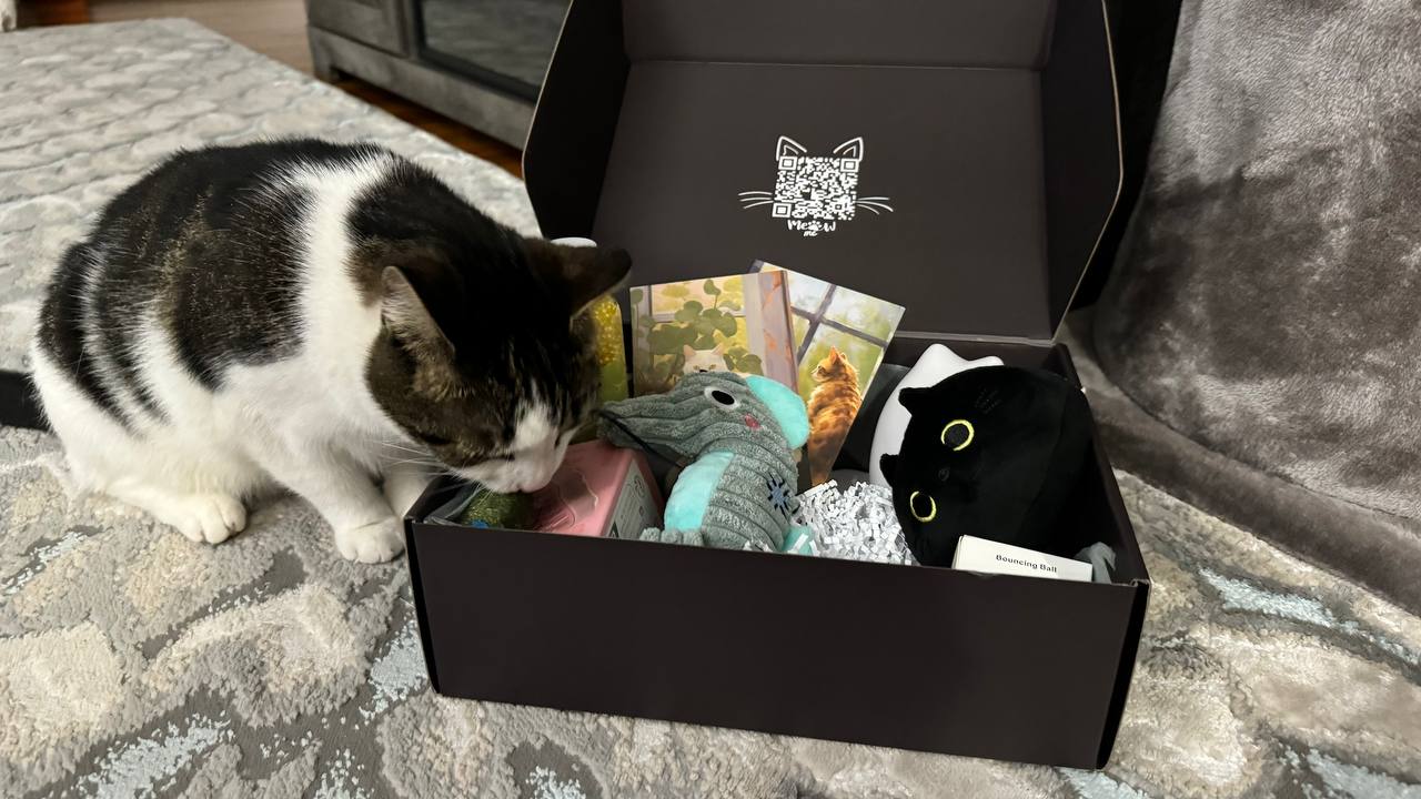 Monthly Purrrfect Subscription